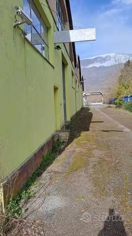 immagine annuncio 6 di 11