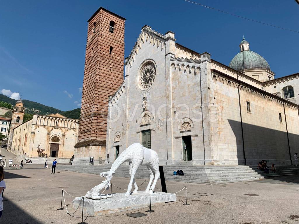 immagine annuncio 1 di 6