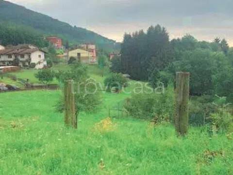 immagine annuncio 3 di 7