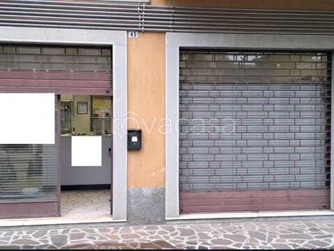 immagine annuncio 2 di 7