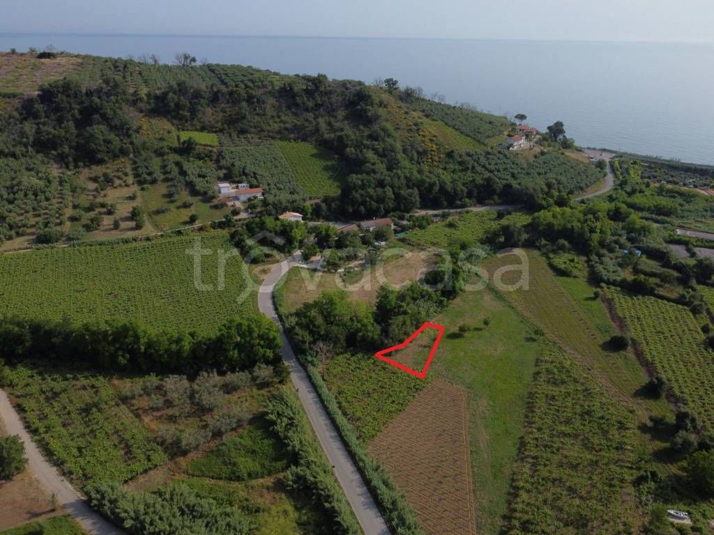 immagine annuncio 2 di 14