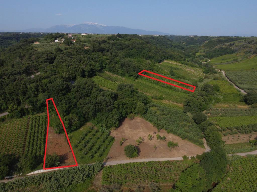 immagine annuncio 5 di 14