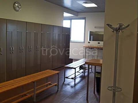immagine annuncio 5 di 9