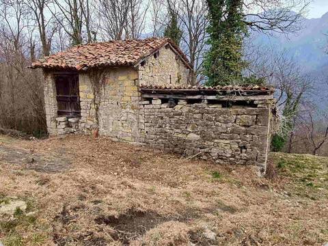 immagine annuncio 7 di 14
