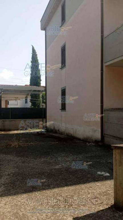 immagine annuncio 9 di 14
