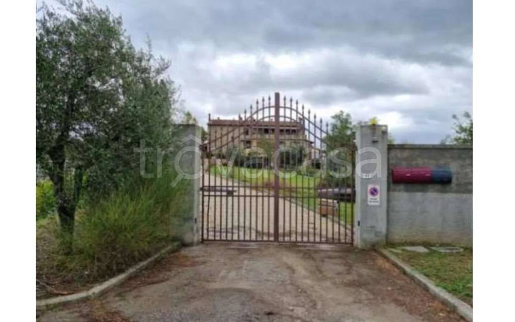 immagine annuncio 2 di 12