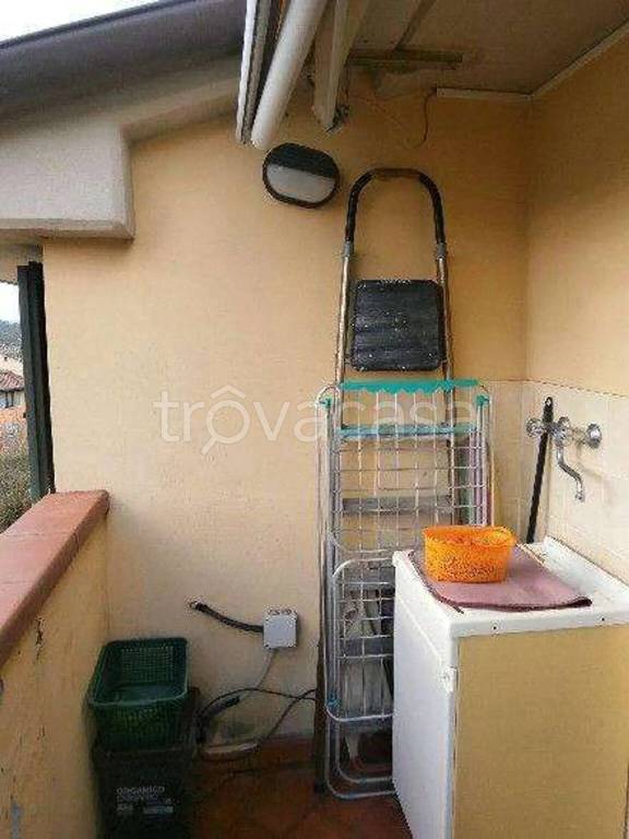 immagine annuncio 3 di 7
