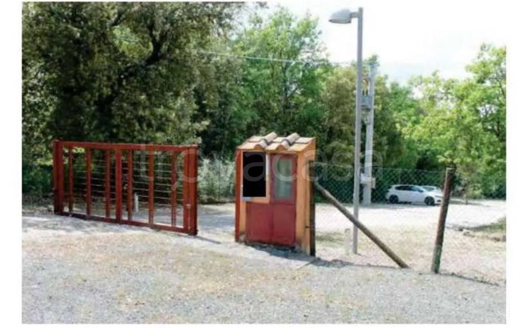 immagine annuncio 11 di 13