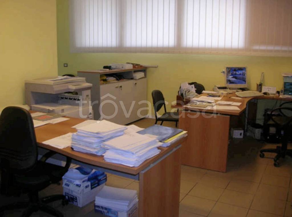 immagine annuncio 3 di 12