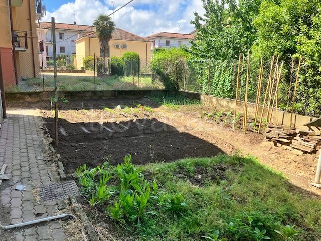 immagine annuncio 3 di 6