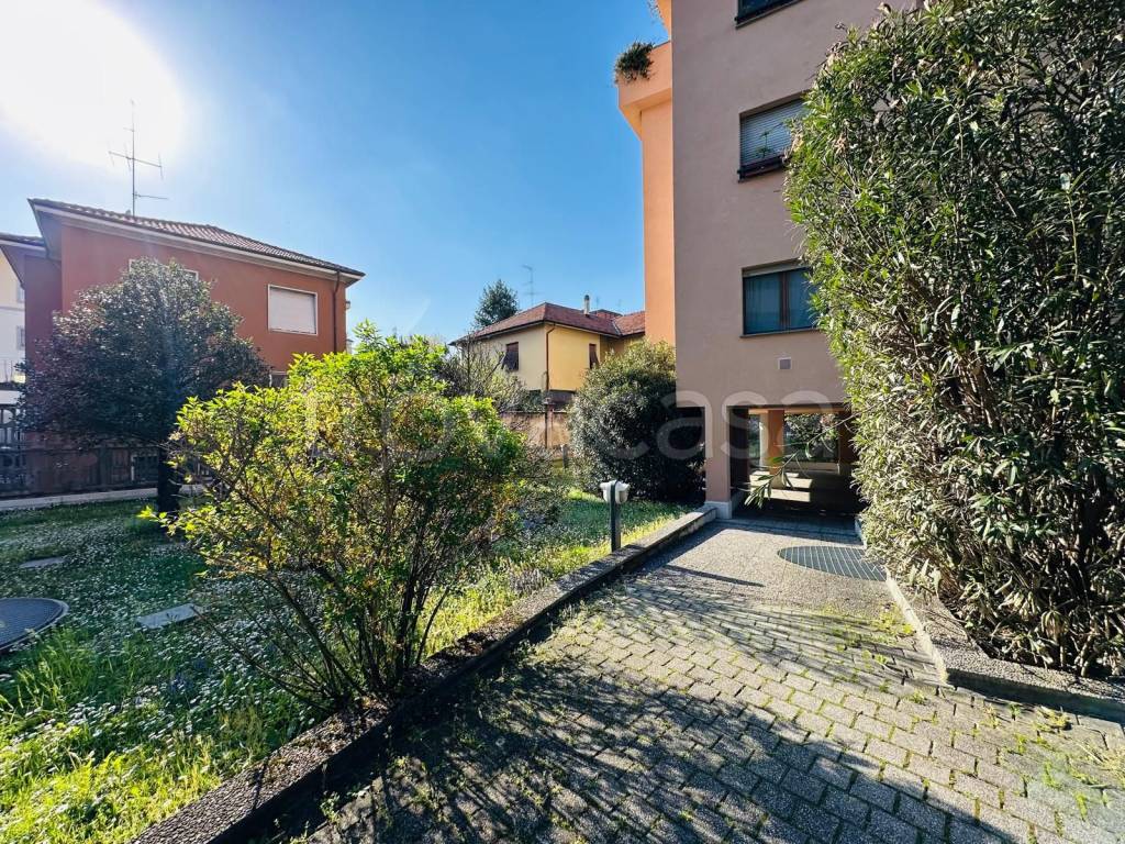 immagine annuncio 9 di 14