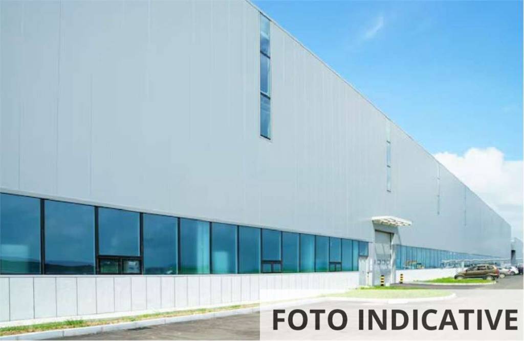 immagine annuncio 10 di 11