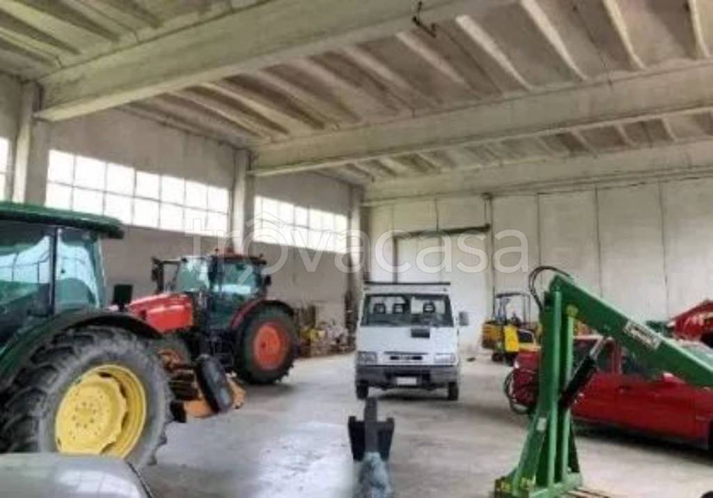 immagine annuncio 7 di 11