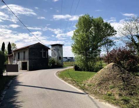 immagine annuncio 3 di 8