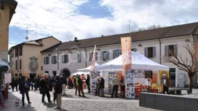 immagine annuncio 3 di 6