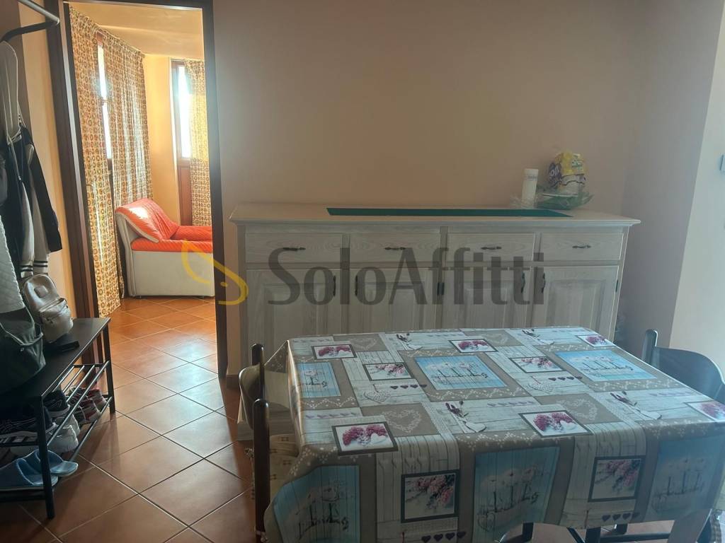 immagine annuncio 9 di 14