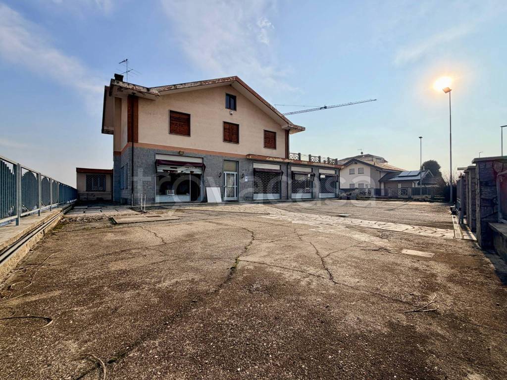 immagine annuncio 1 di 15