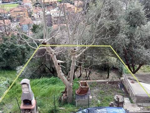 immagine annuncio 11 di 14