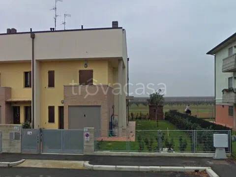 immagine annuncio 5 di 12