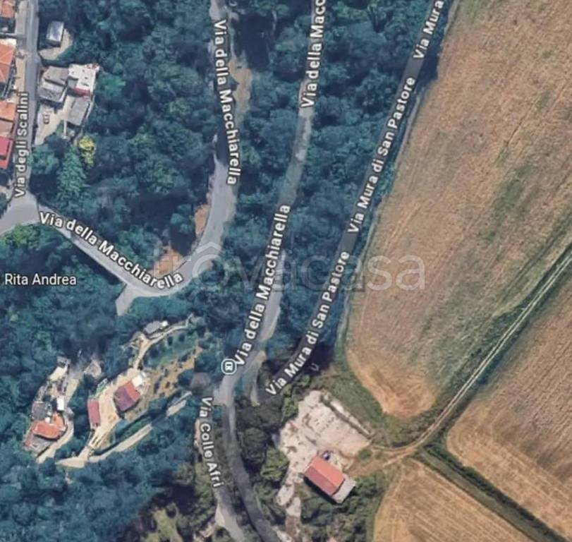 immagine annuncio 5 di 10