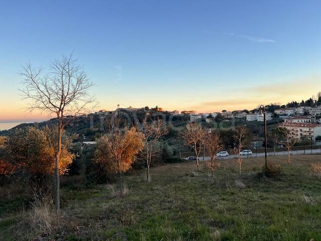 immagine annuncio 4 di 12