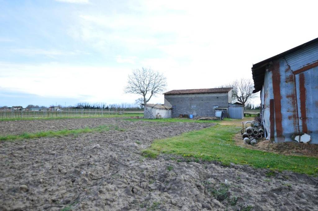 immagine annuncio 6 di 11