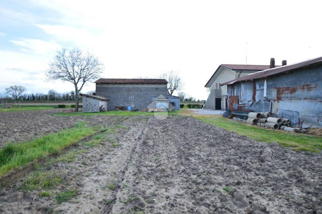 immagine annuncio 7 di 11