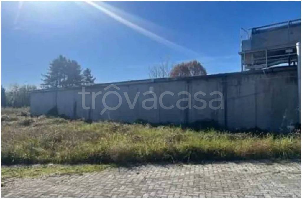 immagine annuncio 3 di 12