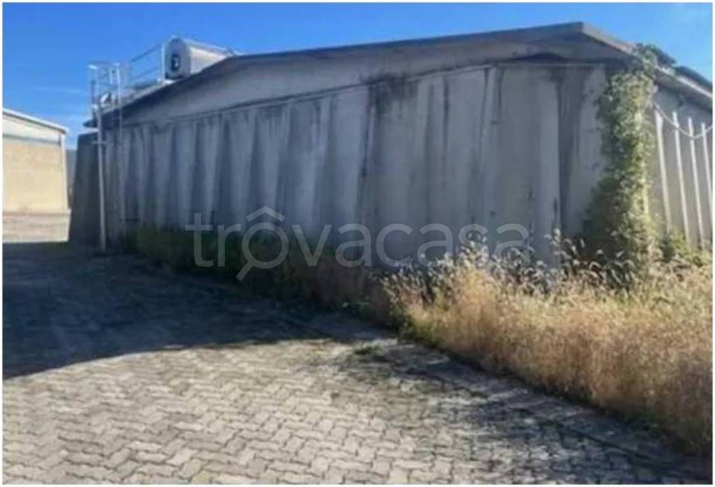 immagine annuncio 10 di 12