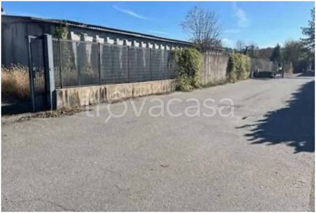 immagine annuncio 11 di 12