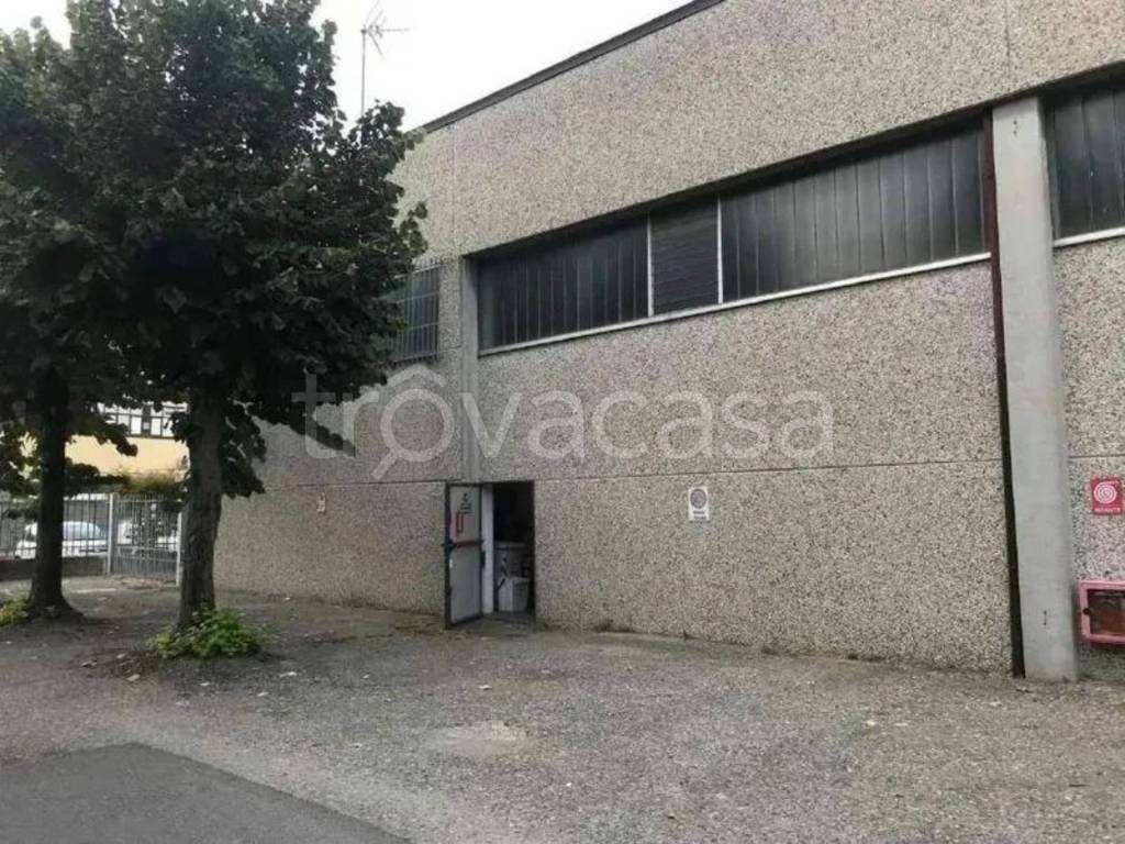 immagine annuncio 4 di 15