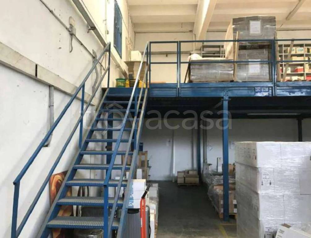 immagine annuncio 12 di 15