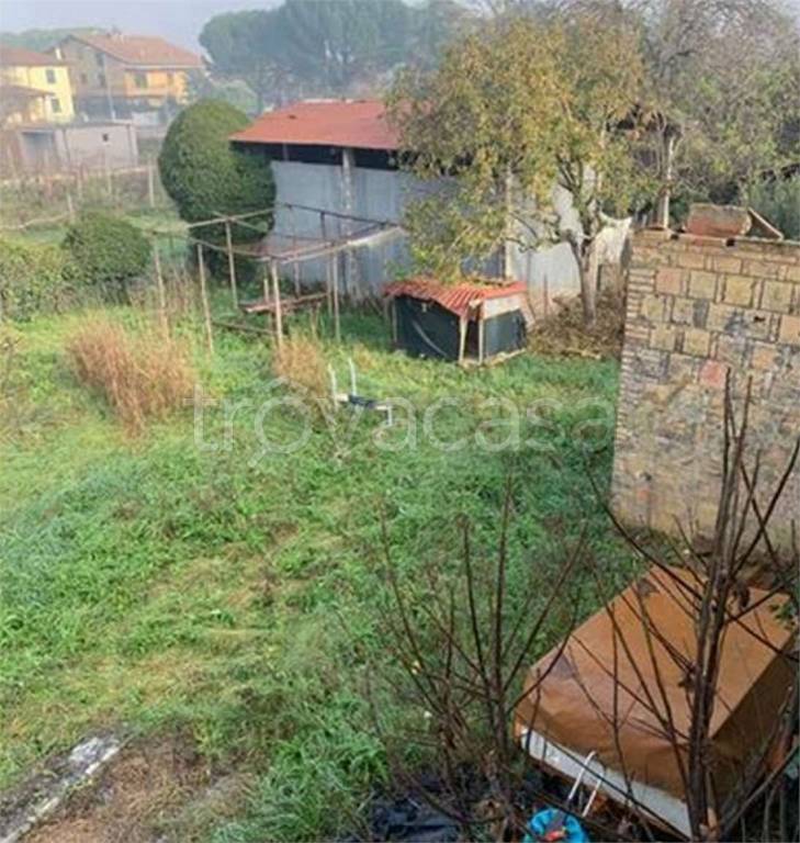 immagine annuncio 11 di 13
