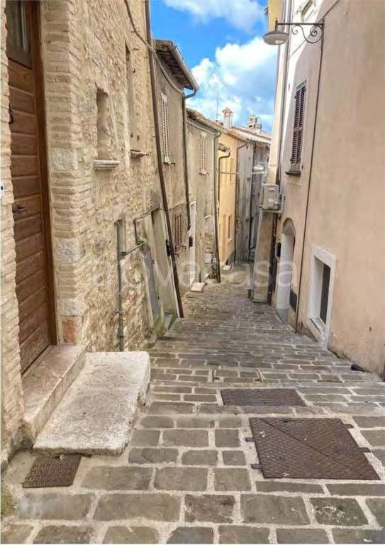 immagine annuncio 6 di 12
