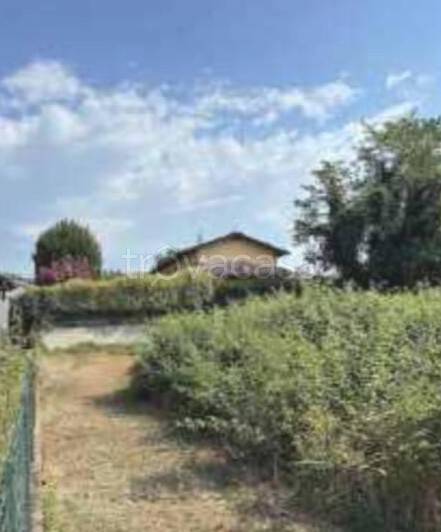 immagine annuncio 3 di 8