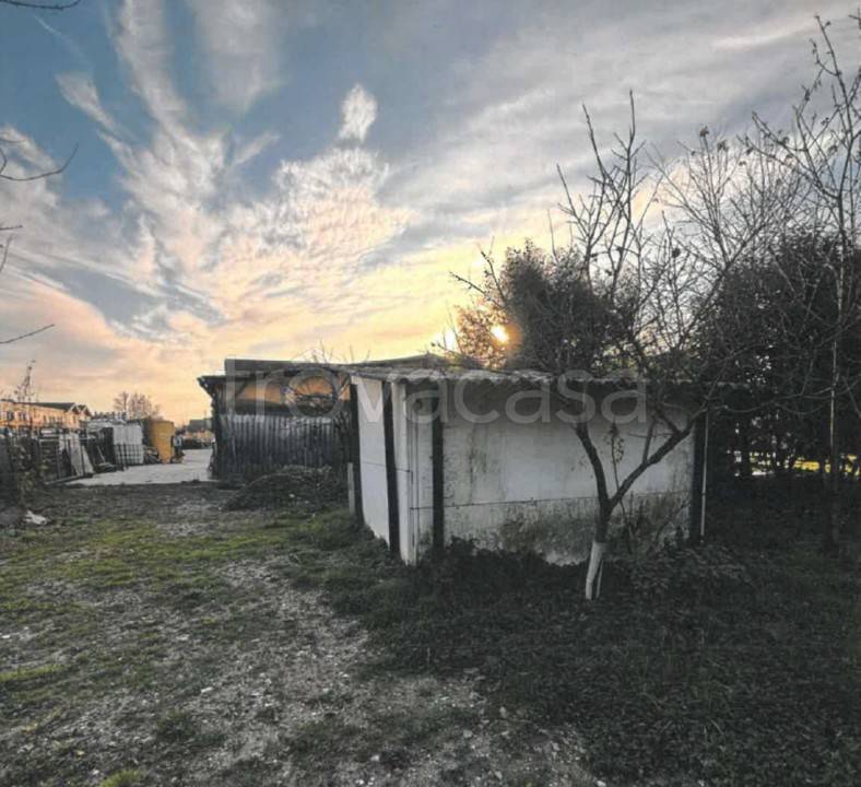immagine annuncio 2 di 8