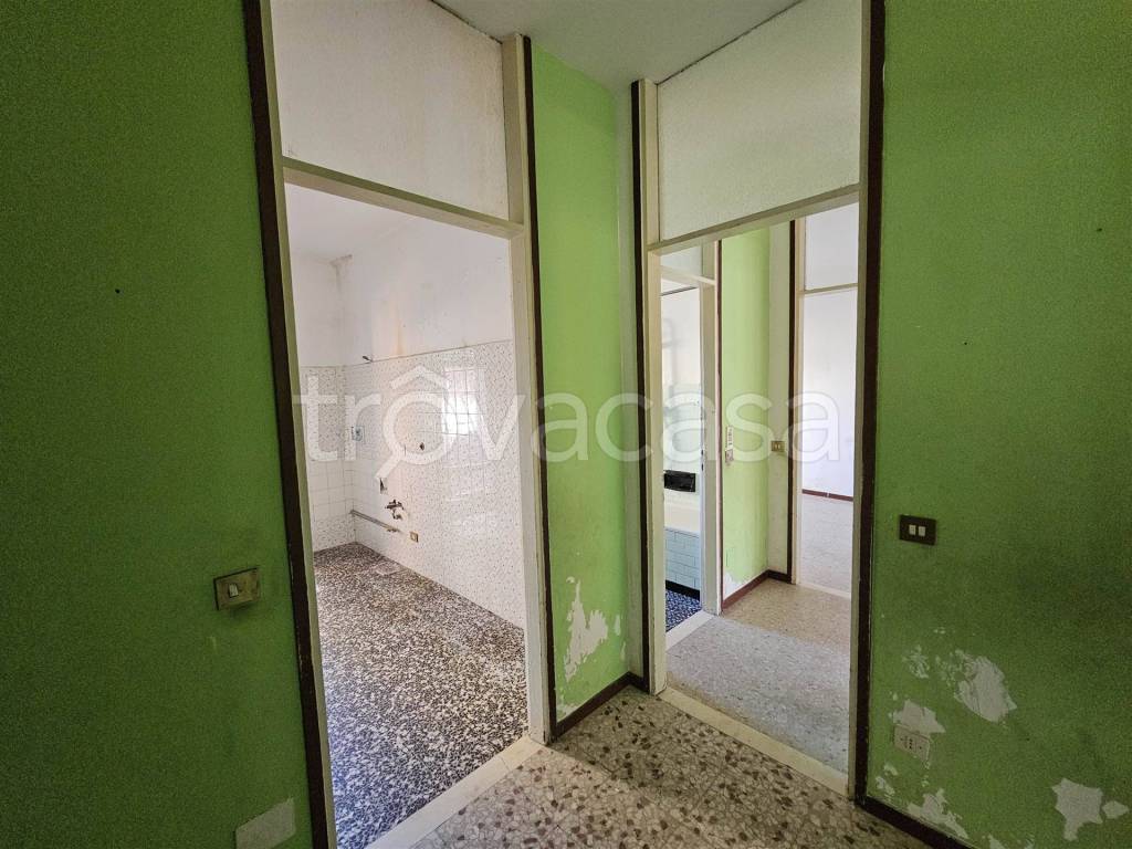 immagine annuncio 7 di 12