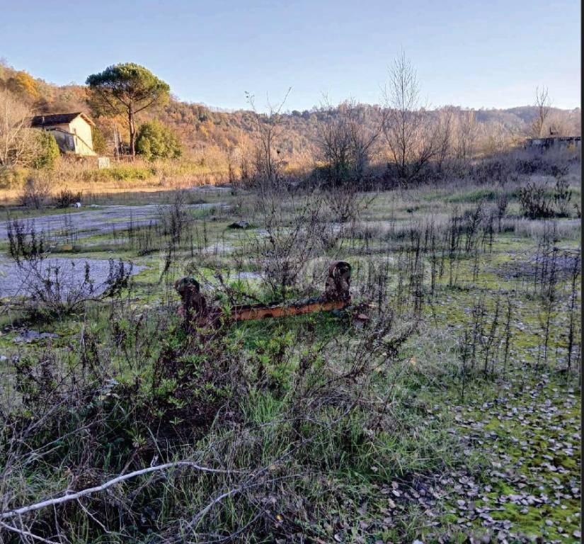 immagine annuncio 2 di 6