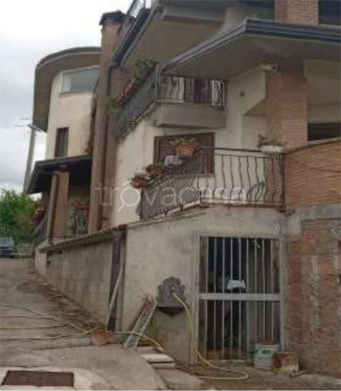 immagine annuncio 3 di 11
