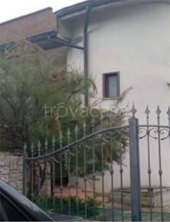 immagine annuncio 7 di 11