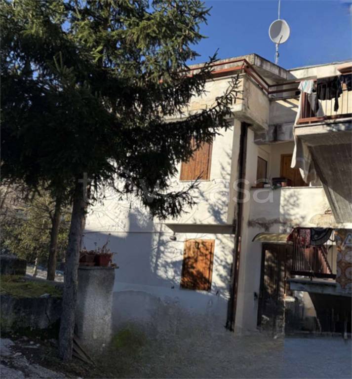 immagine annuncio 3 di 12