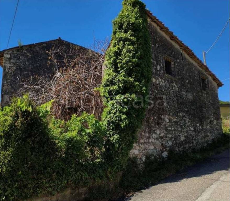 immagine annuncio 8 di 11