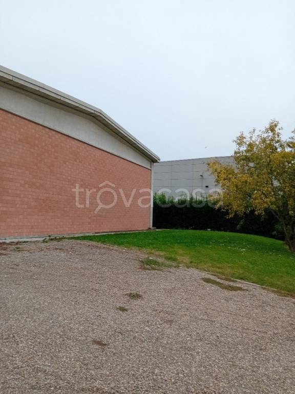 immagine annuncio 6 di 8