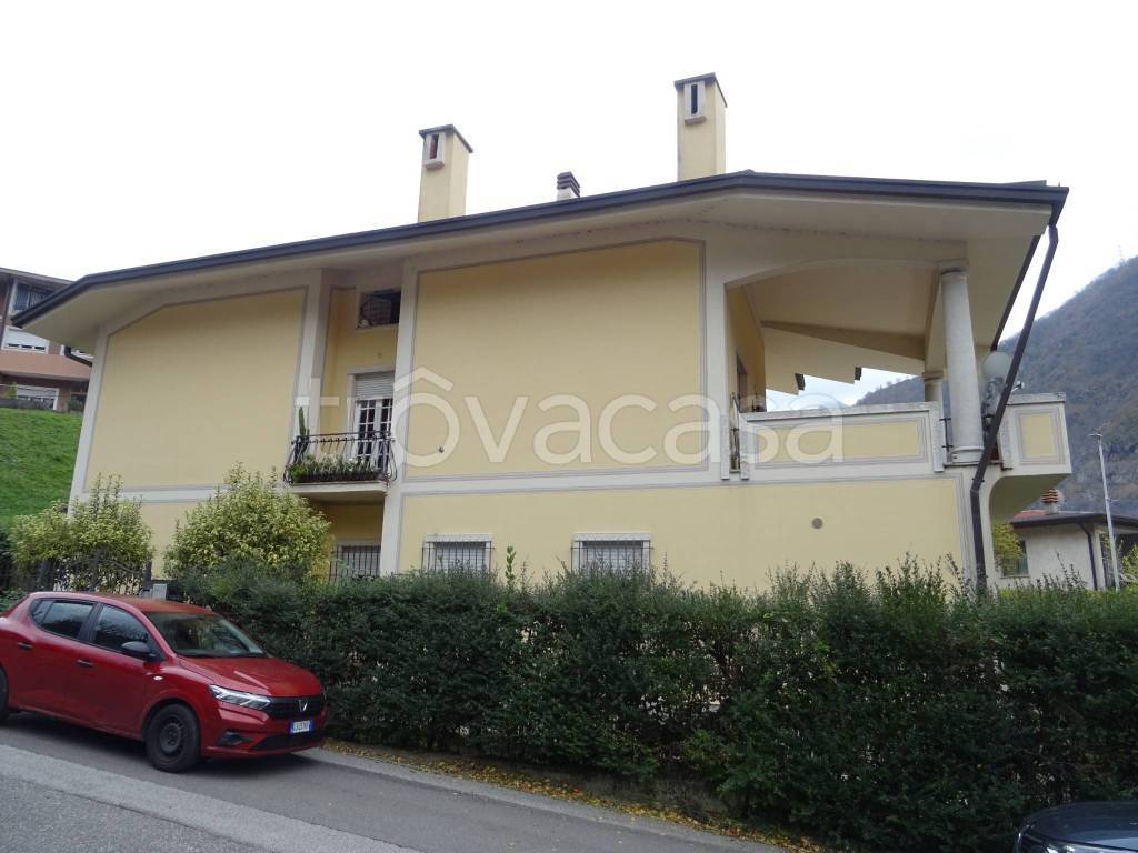 immagine annuncio 9 di 14