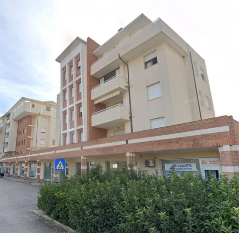 immagine annuncio 1 di 14