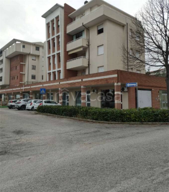 immagine annuncio 3 di 14