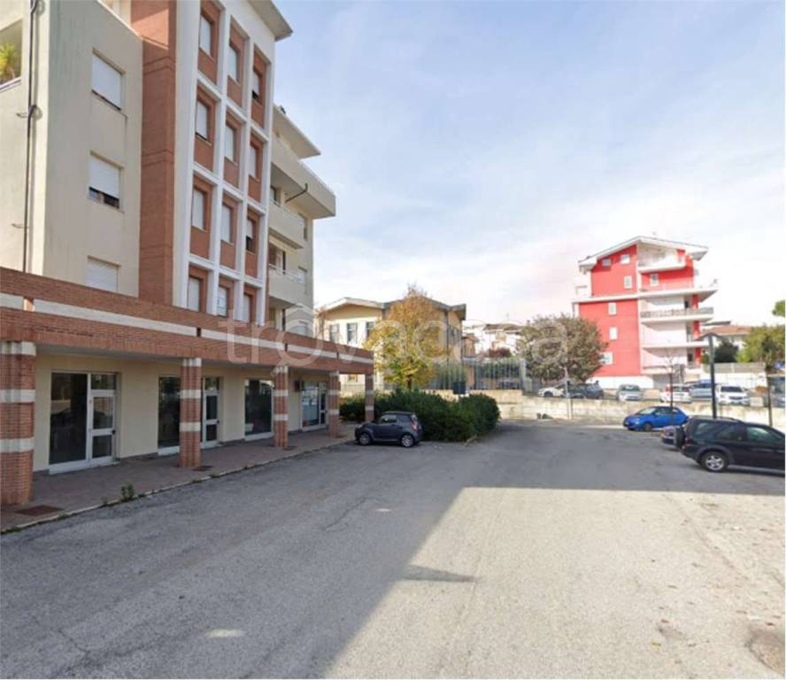 immagine annuncio 9 di 14