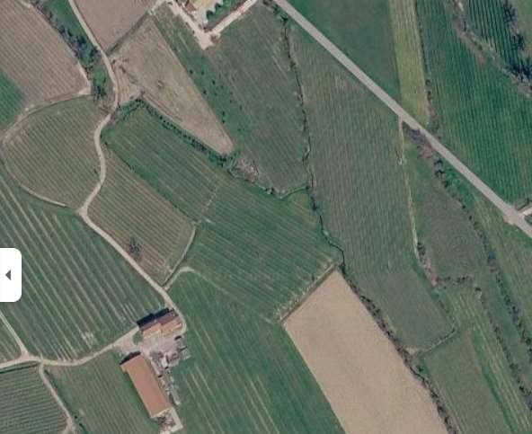 immagine annuncio 10 di 11