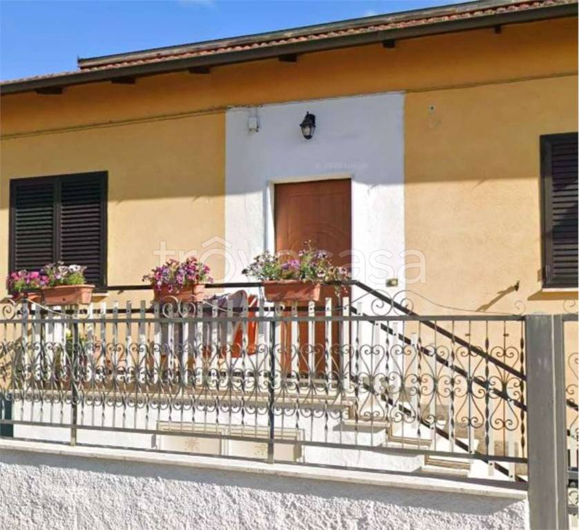 immagine annuncio 6 di 14