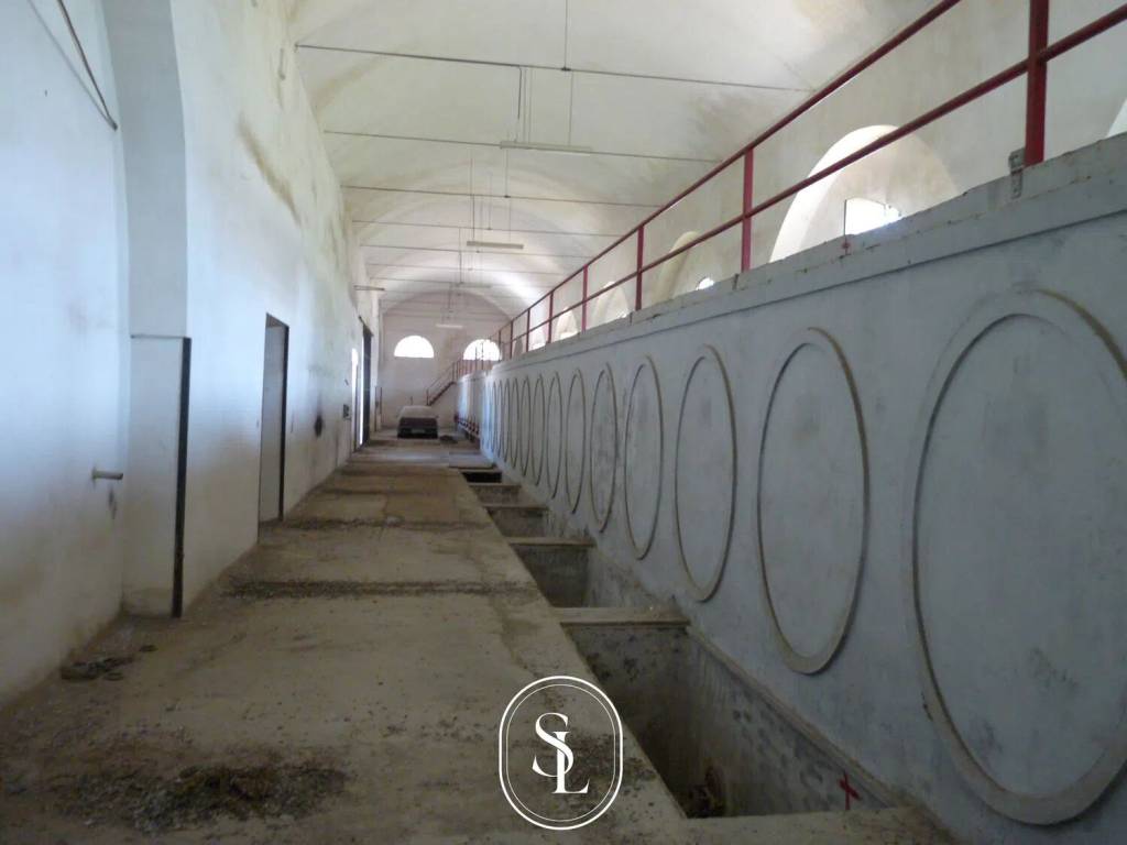 immagine annuncio 4 di 9